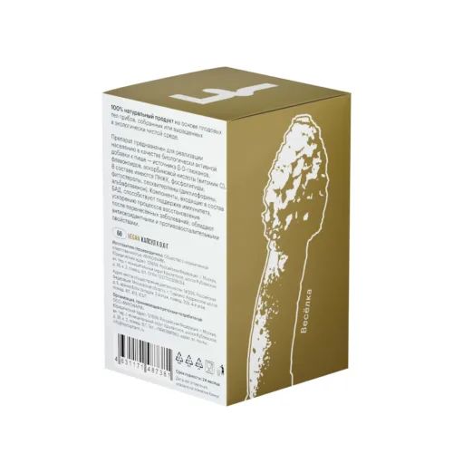 stinkhorn box 60 2