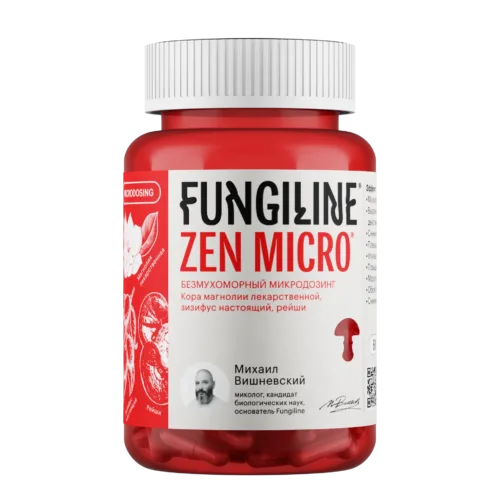 zen micro